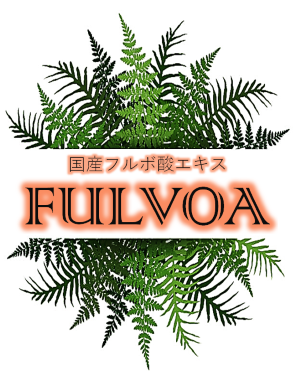 FULVOA ロゴ横300px