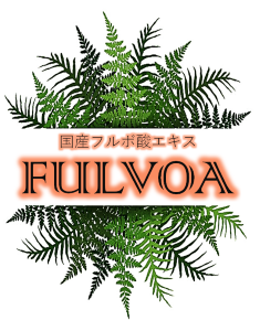 FULVOA ロゴ235×300